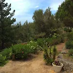 Wavin' Trees إيريسييرا