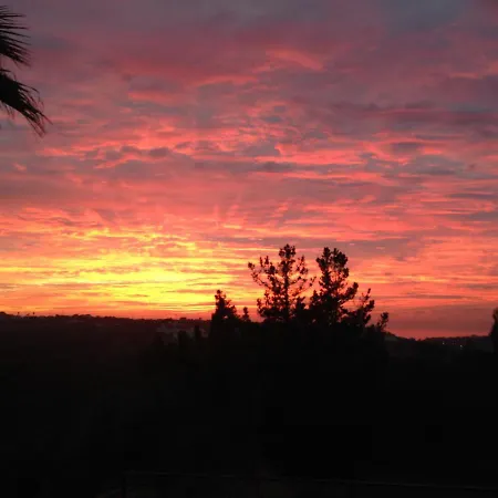 Wavin' Trees Ferienhaus
