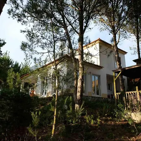 Wavin' Trees Ferienhaus