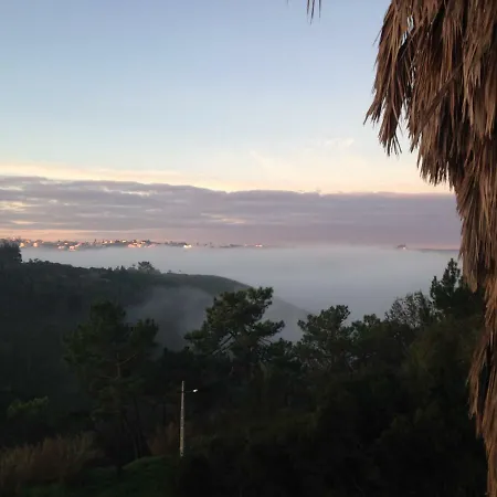 Wavin' Trees Ferienhaus *