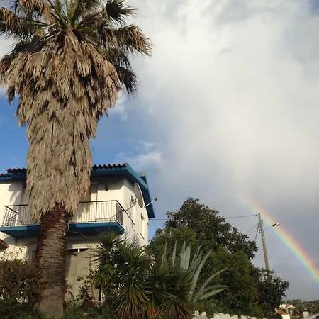 Wavin' Trees Ericeira