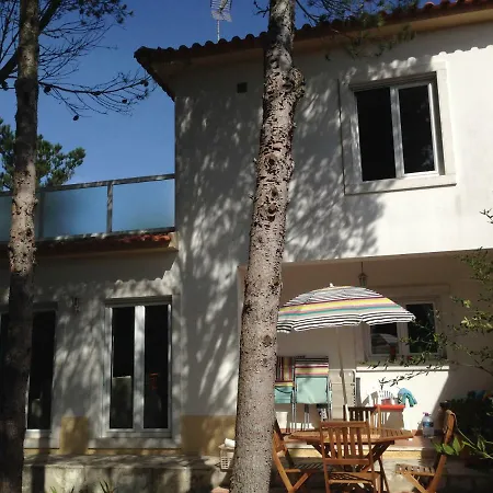 Ferienhaus Wavin' Trees *