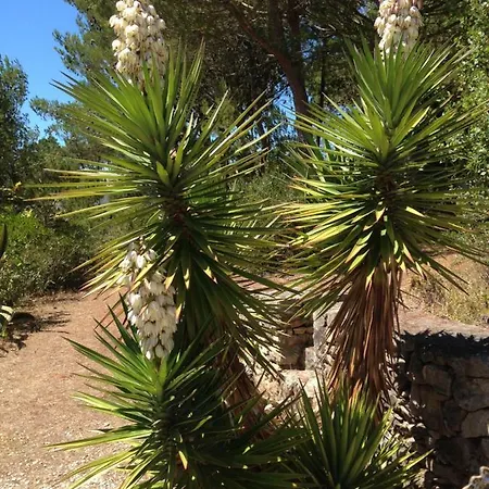 Ferienhaus Wavin' Trees