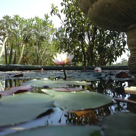 Wavin' Trees Ferienhaus Ericeira