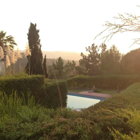 Wavin' Trees Ferienhaus Ericeira