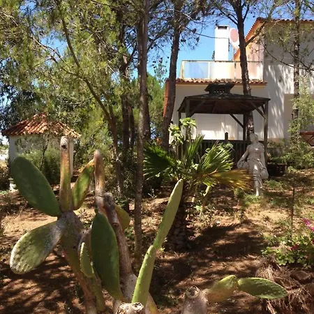 Wavin' Trees Ferienhaus