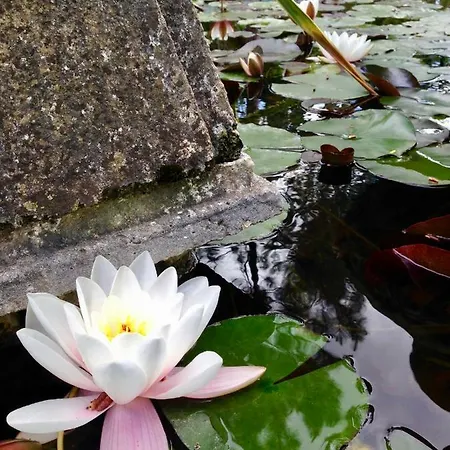 Ferienhaus Wavin' Trees *