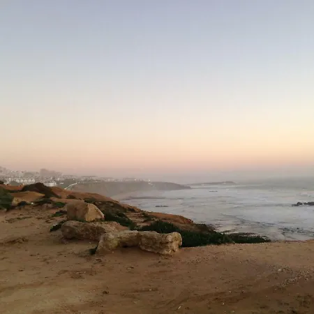 Wavin' Trees Ericeira