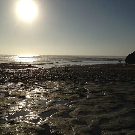 Wavin' Trees Ferienhaus *