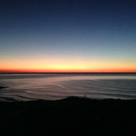 Wavin' Trees Ericeira