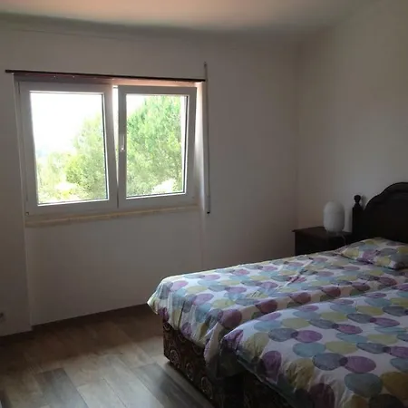 Wavin' Trees Ericeira