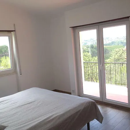 Wavin' Trees Ericeira