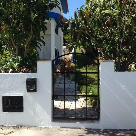 Wavin' Trees * Ericeira