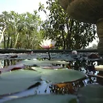 Wavin' Trees 펜션 에리세이라