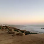 Wavin' Trees Ericeira