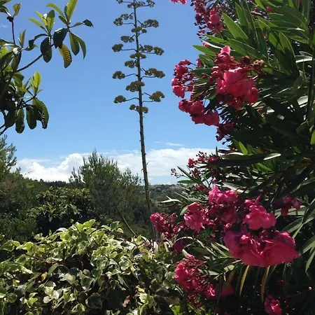 Wavin' Trees Ferienhaus Ericeira