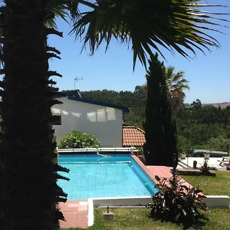 Wavin' Trees * Ericeira