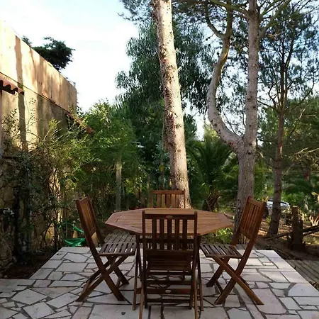 Wavin' Trees Ferienhaus Ericeira