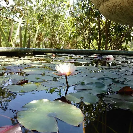 Dom wakacyjny Wavin' Trees *