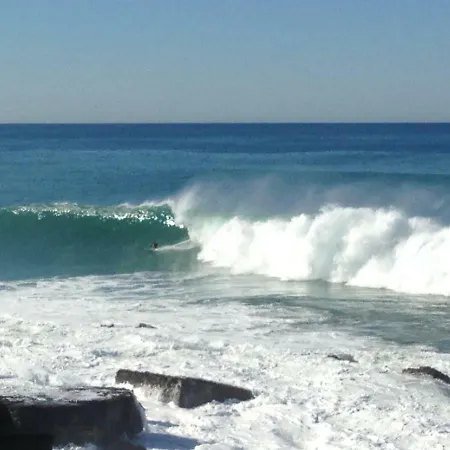 Wavin' Trees Dom wakacyjny *