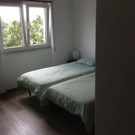 Wavin' Trees Сasa de vacaciones