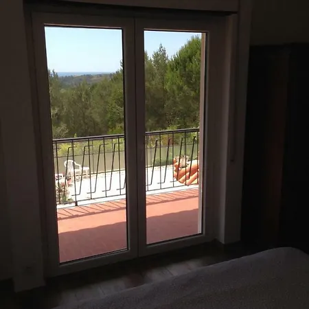 Wavin' Trees * Ericeira