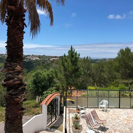 Wavin' Trees Ericeira