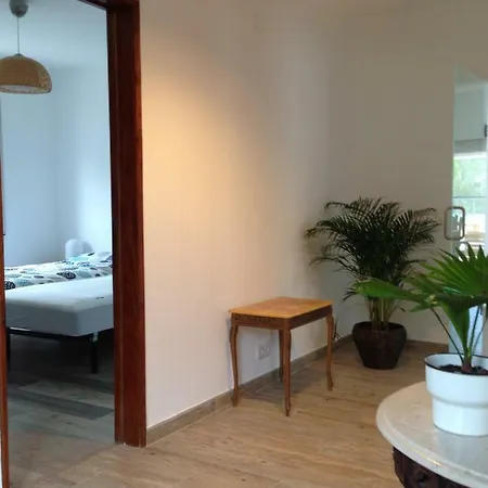 Dom wakacyjny Wavin' Trees