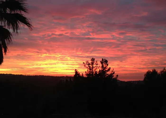 Wavin' Trees بيت للعطل