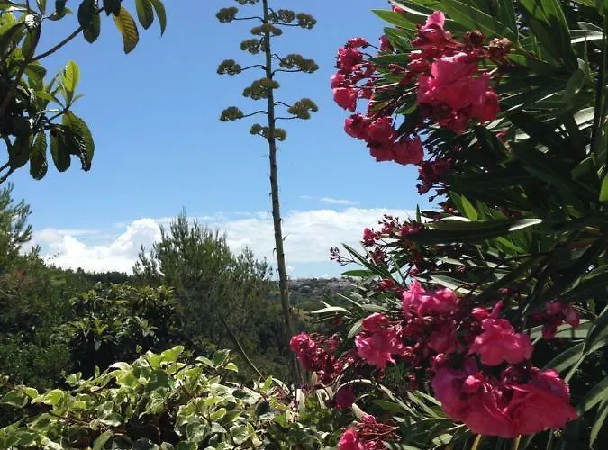 Wavin' Trees بيت للعطل إيريسييرا