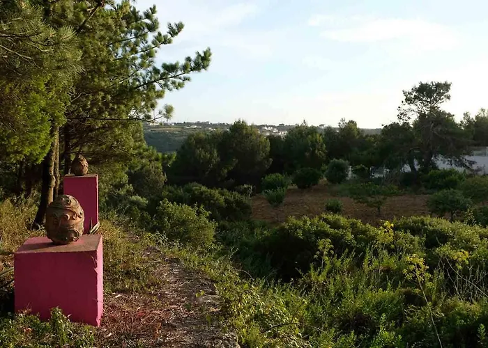 بيت للعطل Wavin' Trees