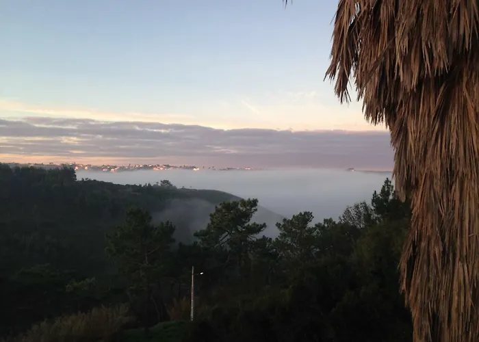 Wavin' Trees بيت للعطل *