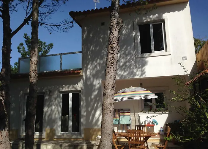 بيت للعطل Wavin' Trees *