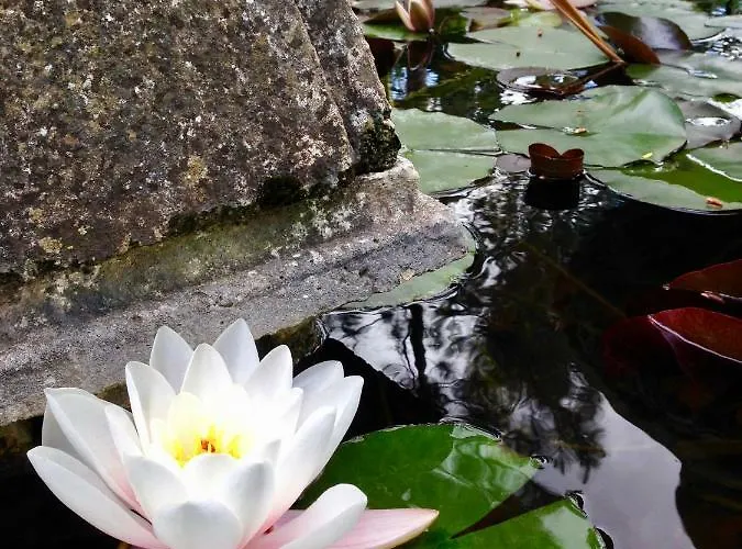 بيت للعطل Wavin' Trees *