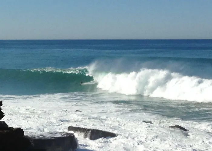 Wavin' Trees بيت للعطل *