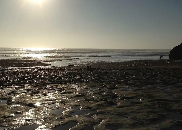 Wavin' Trees بيت للعطل *