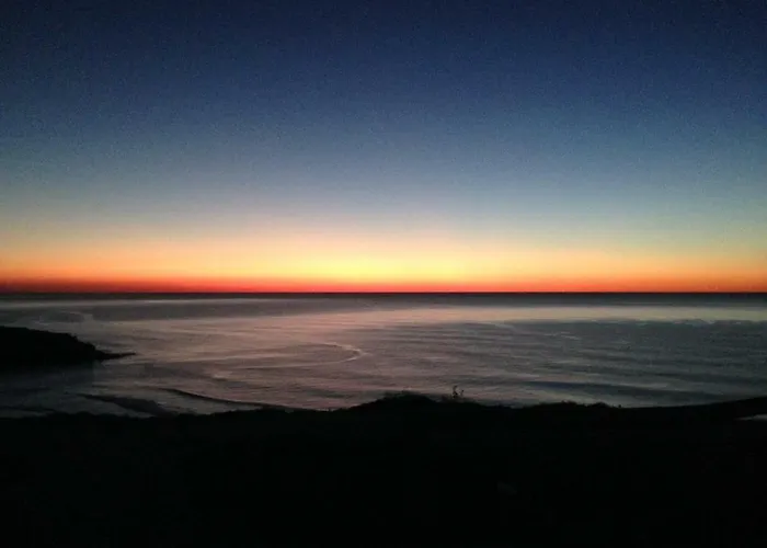 Wavin' Trees إيريسييرا