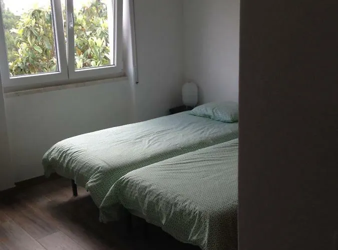 Wavin' Trees Tatil Evi