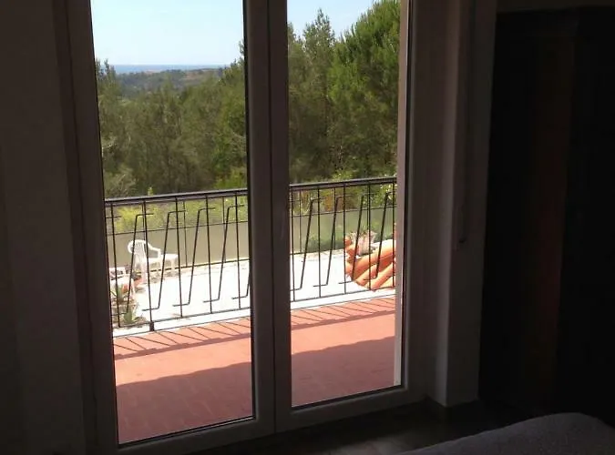 Wavin' Trees * إيريسييرا