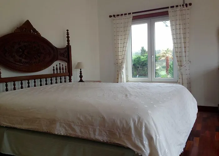 بيت للعطل Wavin' Trees